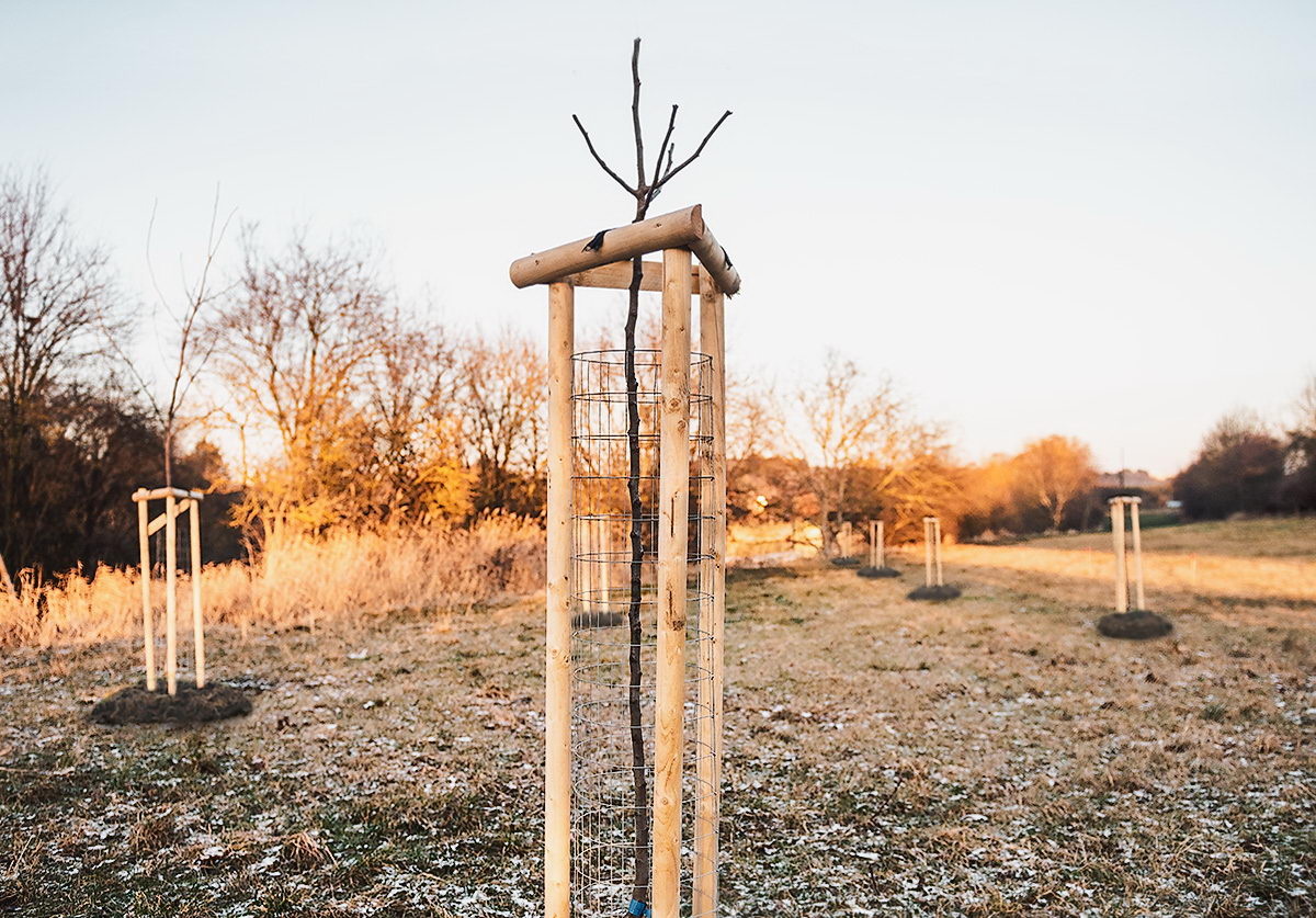 Výsadba malého extenzivního ovocného sadu starých odrůd