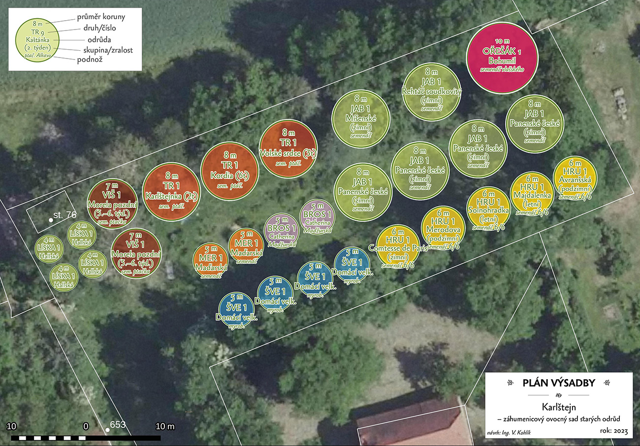 Výsadbový plán extenzivního sadu starých odrůd