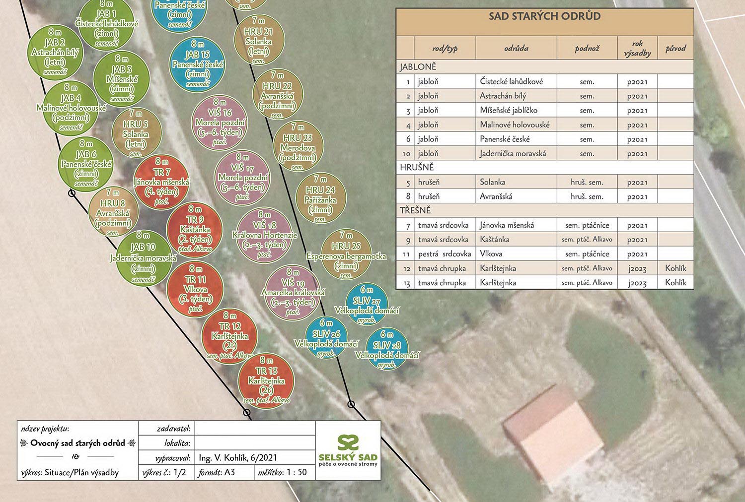 Projekt výsadby ovocného sadu - komunitní výsadba